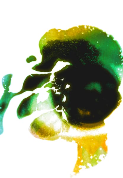 Warp Experiement Project (18)